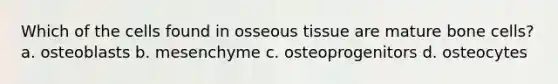 Which of the cells found in osseous tissue are mature bone cells? a. osteoblasts b. mesenchyme c. osteoprogenitors d. osteocytes