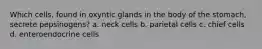 Which cells, found in oxyntic glands in the body of the stomach, secrete pepsinogens? a. neck cells b. parietal cells c. chief cells d. enteroendocrine cells