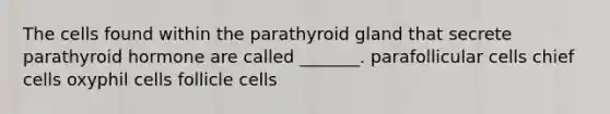 The cells found within the parathyroid gland that secrete parathyroid hormone are called _______. parafollicular cells chief cells oxyphil cells follicle cells