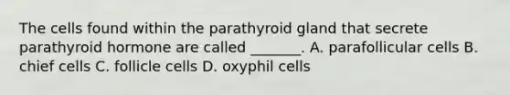 The cells found within the parathyroid gland that secrete parathyroid hormone are called _______. A. parafollicular cells B. chief cells C. follicle cells D. oxyphil cells