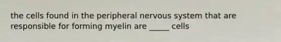 the cells found in the peripheral nervous system that are responsible for forming myelin are _____ cells