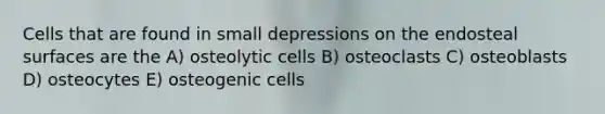 Cells that are found in small depressions on the endosteal surfaces are the A) osteolytic cells B) osteoclasts C) osteoblasts D) osteocytes E) osteogenic cells