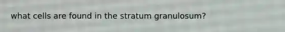 what cells are found in the stratum granulosum?