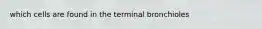 which cells are found in the terminal bronchioles