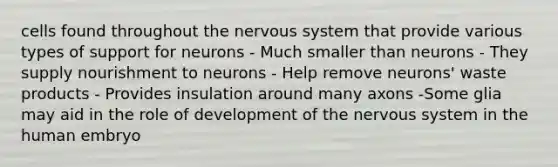 cells found throughout the nervous system that provide various types of support for neurons - Much smaller than neurons - They supply nourishment to neurons - Help remove neurons' waste products - Provides insulation around many axons -Some glia may aid in the role of development of the nervous system in the human embryo