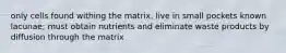 only cells found withing the matrix, live in small pockets known lacunae; must obtain nutrients and eliminate waste products by diffusion through the matrix