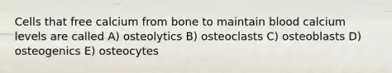 Cells that free calcium from bone to maintain blood calcium levels are called A) osteolytics B) osteoclasts C) osteoblasts D) osteogenics E) osteocytes