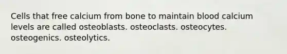 Cells that free calcium from bone to maintain blood calcium levels are called osteoblasts. osteoclasts. osteocytes. osteogenics. osteolytics.