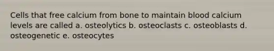 Cells that free calcium from bone to maintain blood calcium levels are called a. osteolytics b. osteoclasts c. osteoblasts d. osteogenetic e. osteocytes