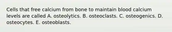 Cells that free calcium from bone to maintain blood calcium levels are called A. osteolytics. B. osteoclasts. C. osteogenics. D. osteocytes. E. osteoblasts.