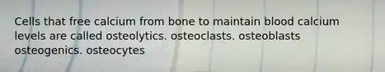 Cells that free calcium from bone to maintain blood calcium levels are called osteolytics. osteoclasts. osteoblasts osteogenics. osteocytes