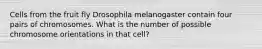 Cells from the fruit fly Drosophila melanogaster contain four pairs of chromosomes. What is the number of possible chromosome orientations in that cell?