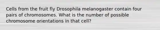 Cells from the fruit fly Drosophila melanogaster contain four pairs of chromosomes. What is the number of possible chromosome orientations in that cell?