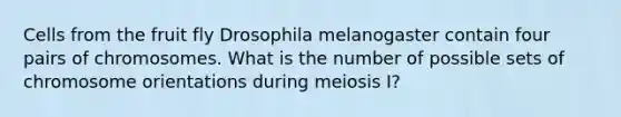 Cells from the fruit fly Drosophila melanogaster contain four pairs of chromosomes. What is the number of possible sets of chromosome orientations during meiosis I?