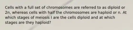 Cells with a full set of chromosomes are referred to as diploid or 2n, whereas cells with half the chromosomes are haploid or n. At which stages of meiosis I are the cells diploid and at which stages are they haploid?