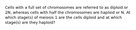 Cells with a full set of chromosomes are referred to as diploid or 2N, whereas cells with half the chromosomes are haploid or N. At which stage(s) of meiosis 1 are the cells diploid and at which stage(s) are they haploid?