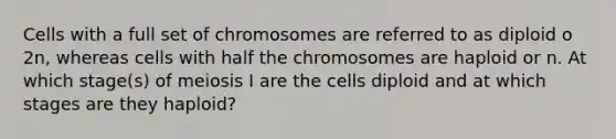 Cells with a full set of chromosomes are referred to as diploid o 2n, whereas cells with half the chromosomes are haploid or n. At which stage(s) of meiosis I are the cells diploid and at which stages are they haploid?