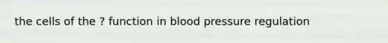 the cells of the ? function in blood pressure regulation