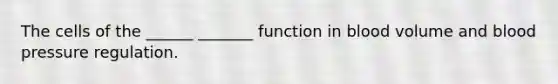 The cells of the ______ _______ function in blood volume and <a href='https://www.questionai.com/knowledge/kD0HacyPBr-blood-pressure' class='anchor-knowledge'>blood pressure</a> regulation.