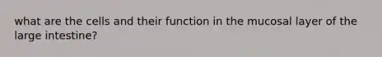 what are the cells and their function in the mucosal layer of the large intestine?