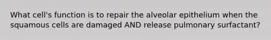 What cell's function is to repair the alveolar epithelium when the squamous cells are damaged AND release pulmonary surfactant?