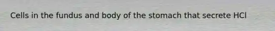 Cells in the fundus and body of the stomach that secrete HCl