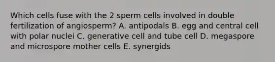 Which cells fuse with the 2 sperm cells involved in double fertilization of angiosperm? A. antipodals B. egg and central cell with polar nuclei C. generative cell and tube cell D. megaspore and microspore mother cells E. synergids