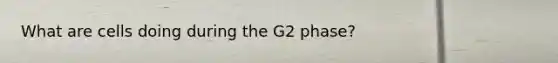 What are cells doing during the G2 phase?