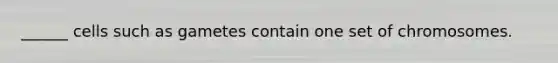 ______ cells such as gametes contain one set of chromosomes.