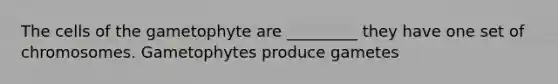 The cells of the gametophyte are _________ they have one set of chromosomes. Gametophytes produce gametes