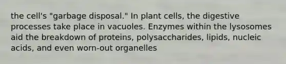 the cell's "garbage disposal." In plant cells, the digestive processes take place in vacuoles. Enzymes within the lysosomes aid the breakdown of proteins, polysaccharides, lipids, nucleic acids, and even worn-out organelles