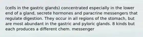 (cells in the gastric glands) concentrated especially in the lower end of a gland, secrete hormones and paracrine messengers that regulate digestion. They occur in all regions of the stomach, but are most abundant in the gastric and pyloric glands. 8 kinds but each produces a different chem. messenger