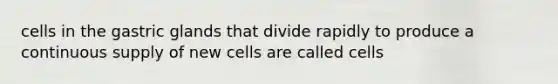 cells in the gastric glands that divide rapidly to produce a continuous supply of new cells are called cells