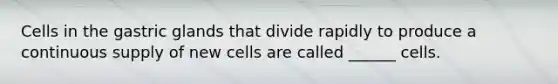 Cells in the gastric glands that divide rapidly to produce a continuous supply of new cells are called ______ cells.