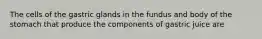 The cells of the gastric glands in the fundus and body of the stomach that produce the components of gastric juice are