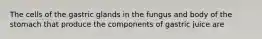 The cells of the gastric glands in the fungus and body of the stomach that produce the components of gastric juice are