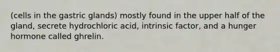 (cells in the gastric glands) mostly found in the upper half of the gland, secrete hydrochloric acid, intrinsic factor, and a hunger hormone called ghrelin.