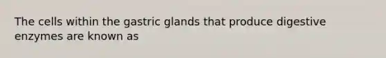 The cells within the gastric glands that produce digestive enzymes are known as