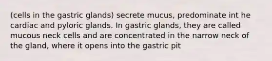 (cells in the gastric glands) secrete mucus, predominate int he cardiac and pyloric glands. In gastric glands, they are called mucous neck cells and are concentrated in the narrow neck of the gland, where it opens into the gastric pit