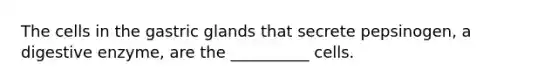 The cells in the gastric glands that secrete pepsinogen, a digestive enzyme, are the __________ cells.