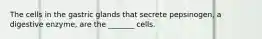 The cells in the gastric glands that secrete pepsinogen, a digestive enzyme, are the _______ cells.