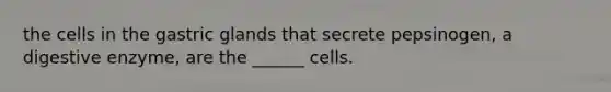 the cells in the gastric glands that secrete pepsinogen, a digestive enzyme, are the ______ cells.