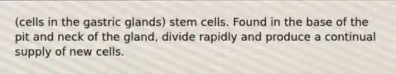 (cells in the gastric glands) stem cells. Found in the base of the pit and neck of the gland, divide rapidly and produce a continual supply of new cells.