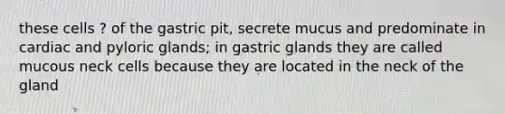 these cells ? of the gastric pit, secrete mucus and predominate in cardiac and pyloric glands; in gastric glands they are called mucous neck cells because they are located in the neck of the gland