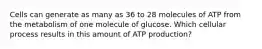 Cells can generate as many as 36 to 28 molecules of ATP from the metabolism of one molecule of glucose. Which cellular process results in this amount of ATP production?