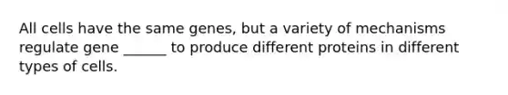 All cells have the same genes, but a variety of mechanisms regulate gene ______ to produce different proteins in different types of cells.