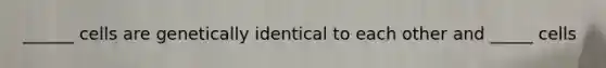 ______ cells are genetically identical to each other and _____ cells