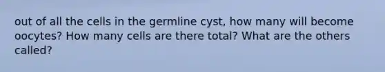 out of all the cells in the germline cyst, how many will become oocytes? How many cells are there total? What are the others called?