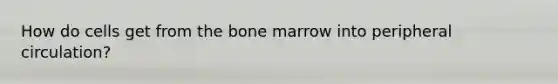 How do cells get from the bone marrow into peripheral circulation?