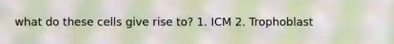 what do these cells give rise to? 1. ICM 2. Trophoblast